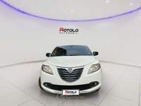 Lancia Ypsilon Ypsilon 1.2 69 CV 5 porte GPL Ecochic Gold Bianco usata Torino