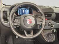 Fiat Panda Panda 1.0 FireFly S&S Hybrid Pop Bianco usata Torino