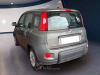 Fiat Panda III 2021 1.0 firefly hybrid s&s 70cv Grigio usata Torino