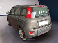 Fiat Panda III 2021 1.0 firefly hybrid s&s 70cv Grigio usata Torino