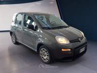 Fiat Panda III 2021 1.0 firefly hybrid s&s 70cv Grigio usata Torino