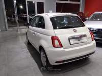 Fiat 500 Cult Bianco usata Isernia