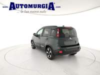 Fiat Panda 1.0 FireFly S&S Hybrid CON ROTTAMAZIONE Verde usata Barletta
