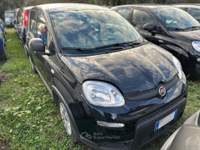 Fiat Panda - panda 1.0 firefly hybrid s&s 70cv Nero usata Legnano Fiat Panda - panda 1.0 firefly hybrid s&s 70cv Nero usata Legnano