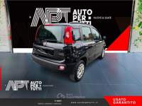 Fiat Panda Panda 1.2 Lounge 69cv Nero usata Carrara