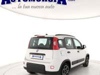 Fiat Panda 1.0 FireFly S&S Hybrid City Life Bianco usata Barletta