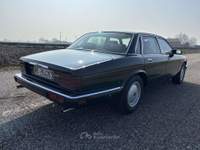 Jaguar XJ6 2.9 Sovereign manuale ASI Verde usata Luzzara Jaguar XJ6 2.9 Sovereign manuale ASI Verde usata Luzzara