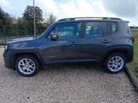 Jeep Renegade Renegade 2019 1.0 t3 Limited 2wd Grigio usata Bracciano