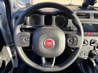 Fiat Panda BELLISSIMA PANDA CITY CROSS Bianco usata Venafro
