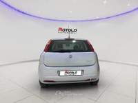 Fiat Grande Punto Grande Punto 1.2 5 porte Dynamic Grigio usata Torino