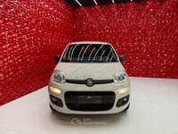 Fiat Panda Turbo Natural Power Lounge OK NEOPATENTATI Beige usata Agliana