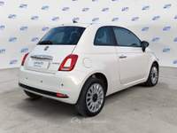 Fiat 500 1.0 hybrid Cult 70cv Bianco usata Pistoia