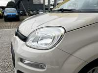 Fiat Panda Panda 1.2 easy 69cv e6 Beige usata Torino