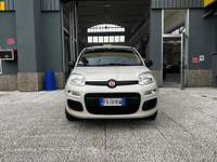 Fiat Panda Panda 1.2 easy 69cv e6 Beige usata Torino