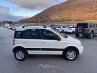Fiat Panda 1.2 Climbing Natural Power METANO Bianco usata Sant'Angelo in vado