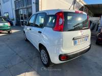 Fiat Panda 1.2 Easy s Bianco usata Anzio