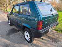 Fiat Panda Trekking Verde usata Castiglione Torinese