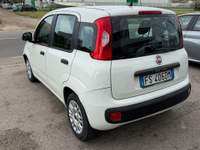 Fiat Panda Macchina perfetta usata San Tammaro