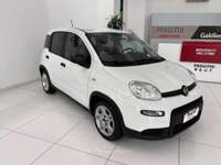 Fiat Panda Panda 1.0 firefly hybrid City Life s Bianco usata Torino