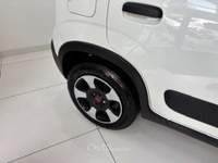 Fiat Panda Panda III 2021 Cross 1.0 firefly hybrid Cross s Bianco usata Torino