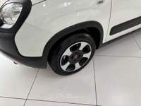 Fiat Panda Panda III 2021 Cross 1.0 firefly hybrid Cross s Bianco usata Torino