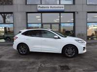 Ford Kuga EcoBlue Hybrid 150 CV 2WD ST-Line X Bianco usata Spilamberto