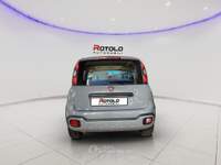 Fiat Panda Panda Cross 1.0 FireFly S&S Hybrid usata Torino