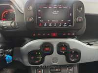 Fiat Panda Panda Cross 1.0 FireFly S&S Hybrid usata Torino