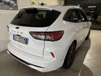 Ford Kuga 2.0 ecoblue ST-Line X awd 190cv auto Bianco usata Castelnovo ne' Monti