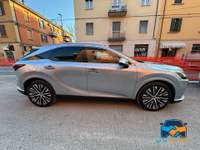 Lexus RX 450h+ 2.5 phev Executive e-cvt Grigio usata Bologna