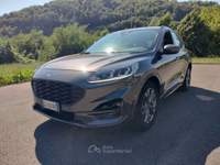 Ford Kuga Kuga 1.5 EcoBlue 120 CV 2WD ST-Line Aut. Grigio usata Bagni di Lucca