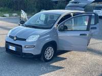 Fiat Panda 1.0 FireFly S&S Hybrid 6 marce Euro6D Grigio usata Fiumicino