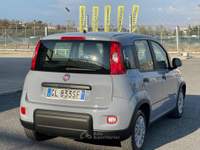 Fiat Panda 1.0 FireFly S&S Hybrid 6 marce Euro6D Grigio usata Fiumicino