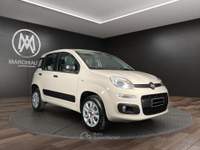 Fiat Panda 0.9 TwinAir Turbo Natural Power Easy Beige usata Bastia Umbra