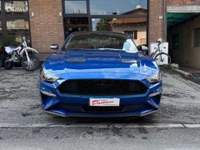 Ford Mustang 314cv Blu/Azzurro usata Castelnovo ne' Monti