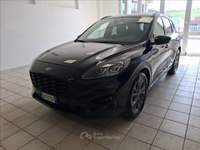 Ford Kuga 1.5 ecoblue ST-Line 2wd 120cv auto Nero usata Teramo