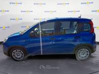 Fiat Panda Serie 7 1.0 70cv HybridPanda Blu/Azzurro usata Roma