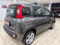 Fiat Panda 2018 Grigio usata Qualiano