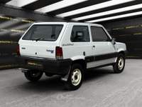 Fiat Panda 1000 4x4 Clx Bianco usata Perugia