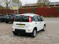 Fiat Panda FireFly S&S Hybrid 4 Posti Bianco usata VEDELAGO