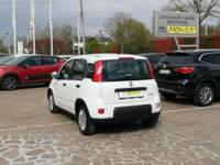 Fiat Panda FireFly S&S Hybrid 4 Posti Bianco usata VEDELAGO