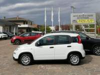 Fiat Panda FireFly S&S Hybrid 4 Posti Bianco usata VEDELAGO