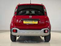 Fiat Panda Cross 1.0 FireFly Mild-Hybrid NEOPATENTATI/PREZZO Rosso usata San Biagio di Callalta