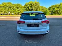 Ford Focus Focus 1.5 EcoBlue 120 CV automatico SW Business Co-Pilot Bianco usata Ferrara