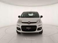 Fiat Panda Panda 0.9 t.air t. natural power Easy 80cv Bianco usata Monza Fiat Panda Panda 0.9 t.air t. natural power Easy 80cv Bianco usata Monza
