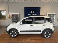 Fiat Panda Panda 1.0 firefly hybrid s&s 70cv 5p.ti Bianco usata Cuneo