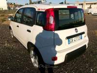 Fiat Panda Panda III 2021 1.0 firefly hybrid s Bianco usata Roma