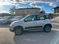 Fiat Panda 95 CV S&S 4x4 Argento usata Villa Santa Lucia