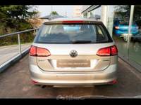 Volkswagen Golf  - golf variant 1.6 tdi 110 cv executive bluemo Grigio usata Treviso