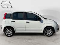 Fiat Panda 1.2 Easy s&amp;s 69cv my19 usata Rovigo
